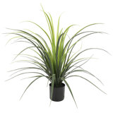 Faux Yucca Grass in Pot