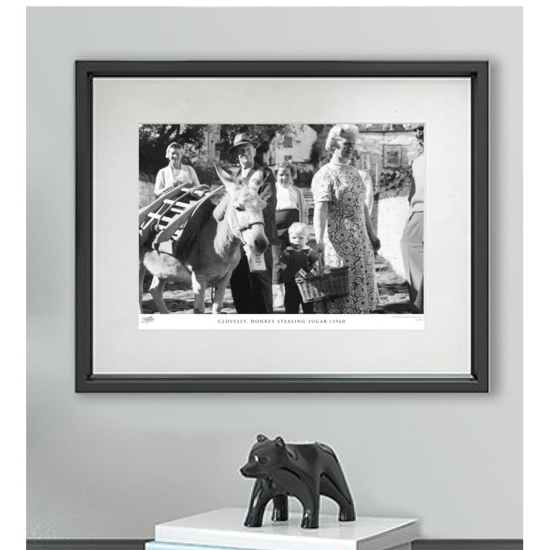 Clovelly, Donkey Stealing Sugar C1960 - Single Picture Frame Print, 60cm H x 80cm W x 2.3cm D