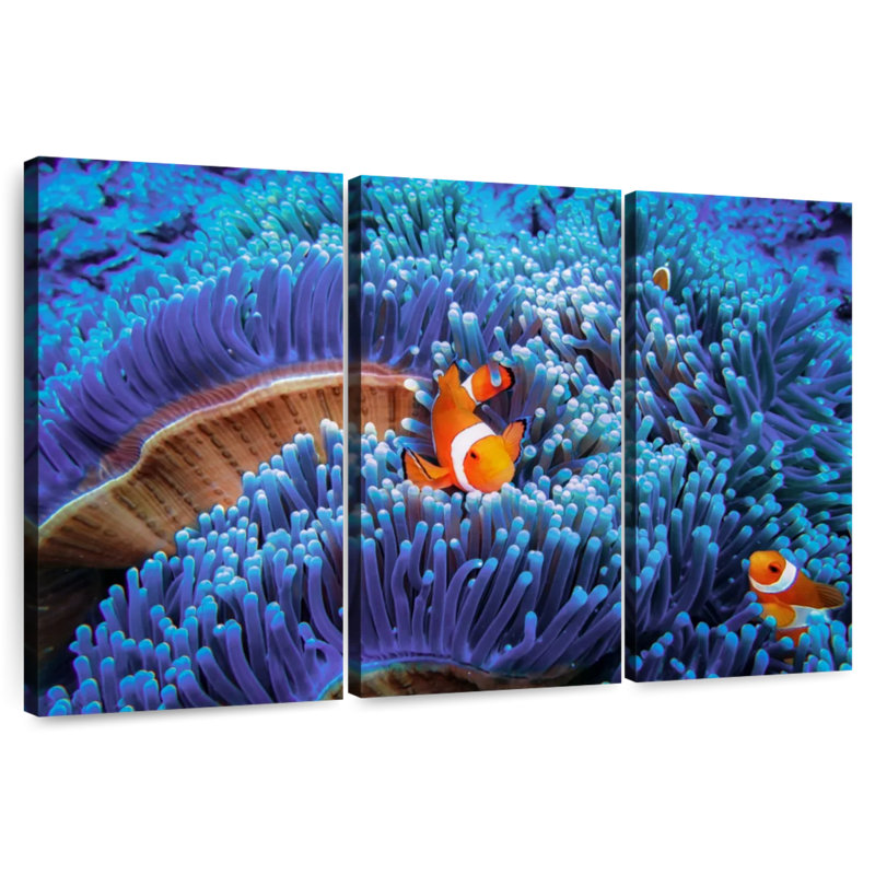 Anémone de mer Aletra Bali, H 32 po x l 50 po