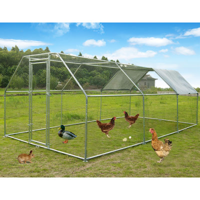 Adriell Walk In Chicken Run
