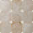 Beige/White