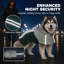 Pet Raincoat-132283235