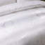 Garica Polyester Solid Colour Duvet Cover Set with Pillowcases-1639816902-1738912068