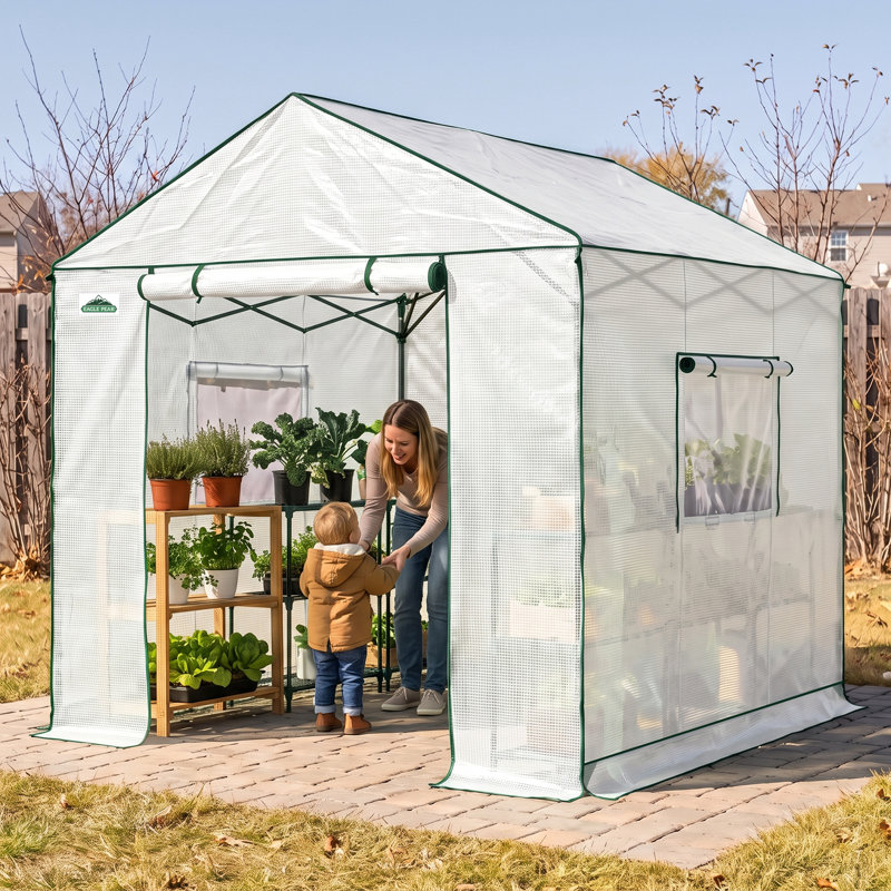6x6 Portable Pop Up Greenhouse, Walk-In Outdoor Garden Plant Greenhouse, White