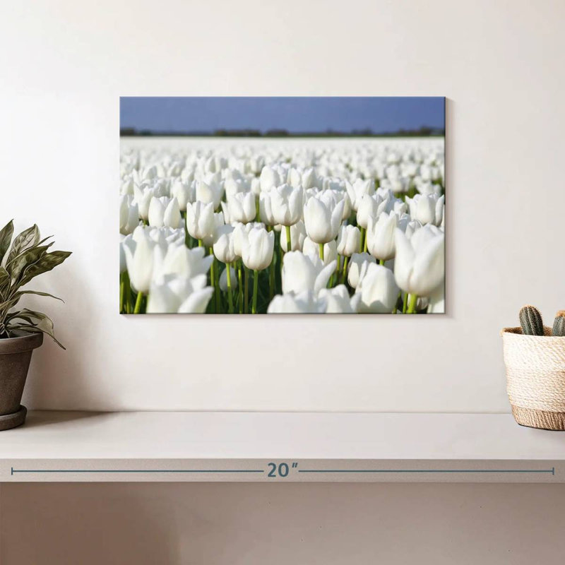 Tulipes blanches sans fin Alvord, H 8 po x l 12 po