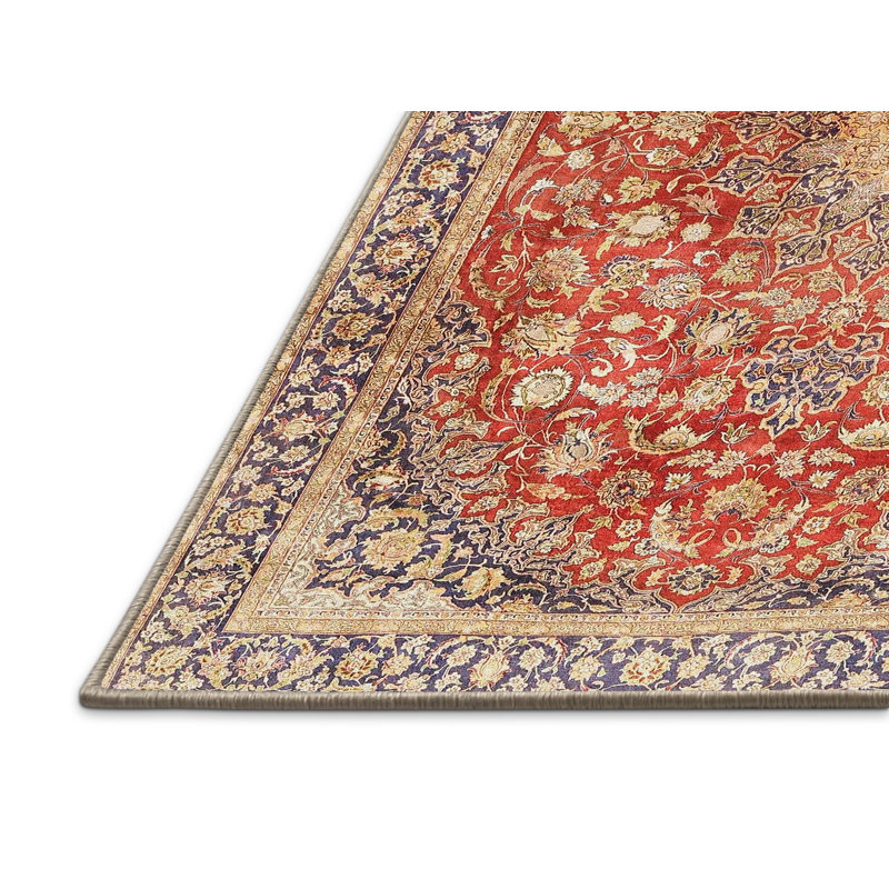 Daanyal Oriental Indoor Rug, Rectangle 5' x 7'