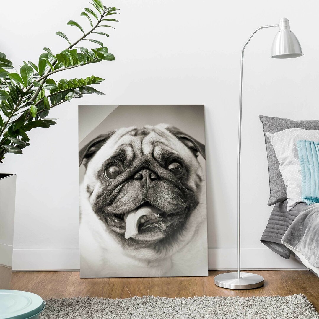 Glasbild Funny Pug