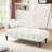 Aijia 60.6" Velvet Chaise Lounge Buttons Tufted Nailhead Trimmed Solid Wood Legs With 1 Pillow-2011009877