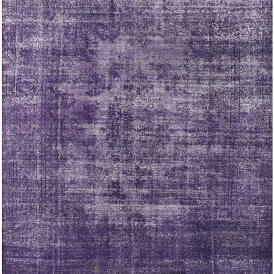 Indoor Rug