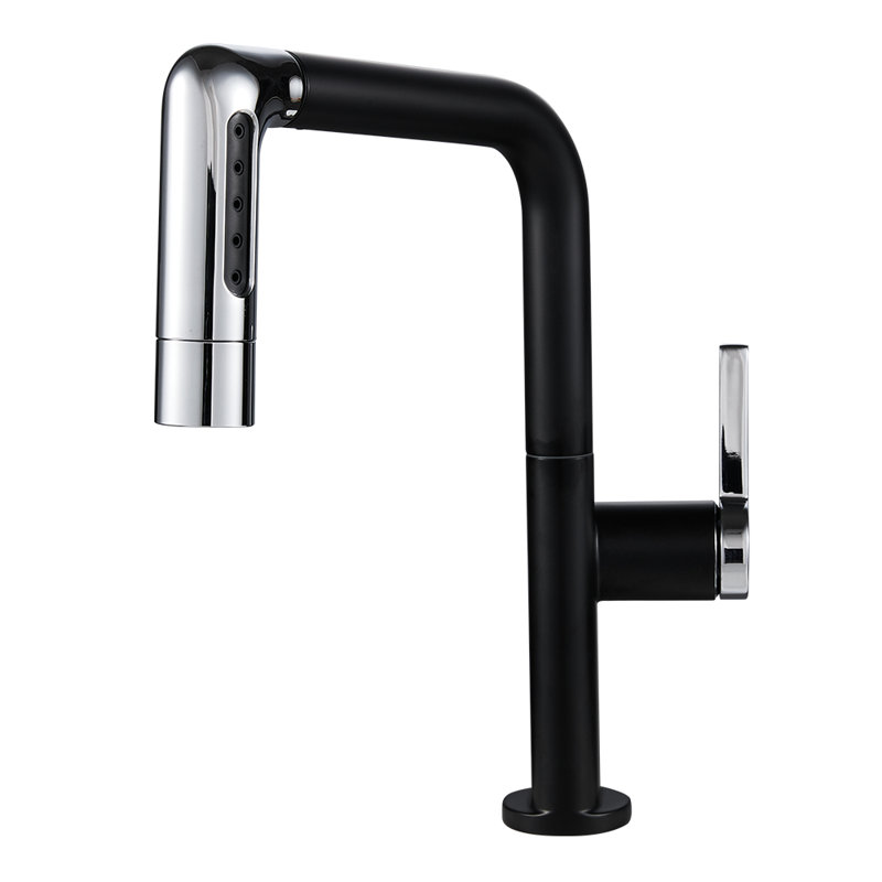 17 Stories Pull Out Kitchen Faucet, Matte Black/Silver