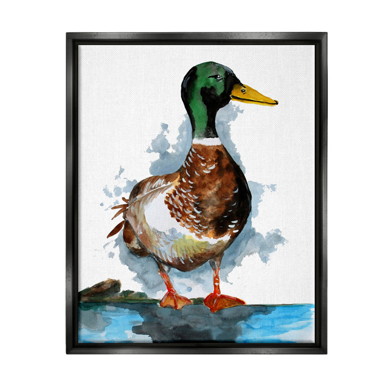 Impression sur toile, "Mallard Duck Water's Edge - Floater", Cadre flottant noir de jais, H 31 po x l 25 po x P 1,7 po