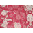 Traditional Oriental Area Rug 7x10