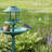Bird Bath-1353438704