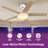 52" 5 - Blade Ceiling Fan With Light & Remote Control-219099419-219099396