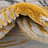 Hollen Floral Indoor Rug-368689299