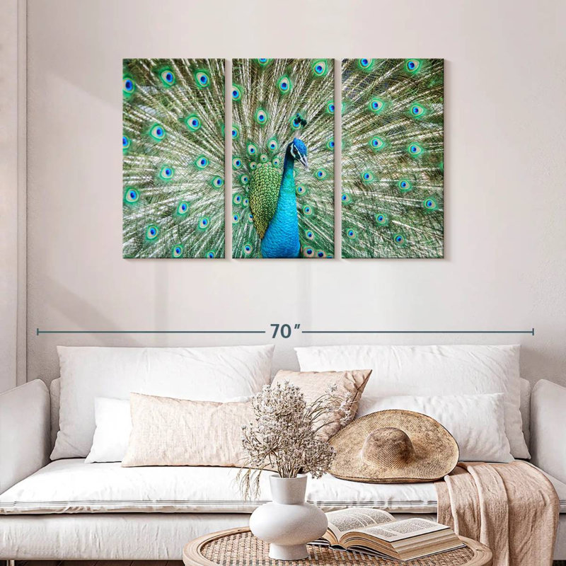Brampt Peacock Displaying Tail, 28" H x 45" W
