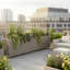 Grove Divider Planter- Grey Brown