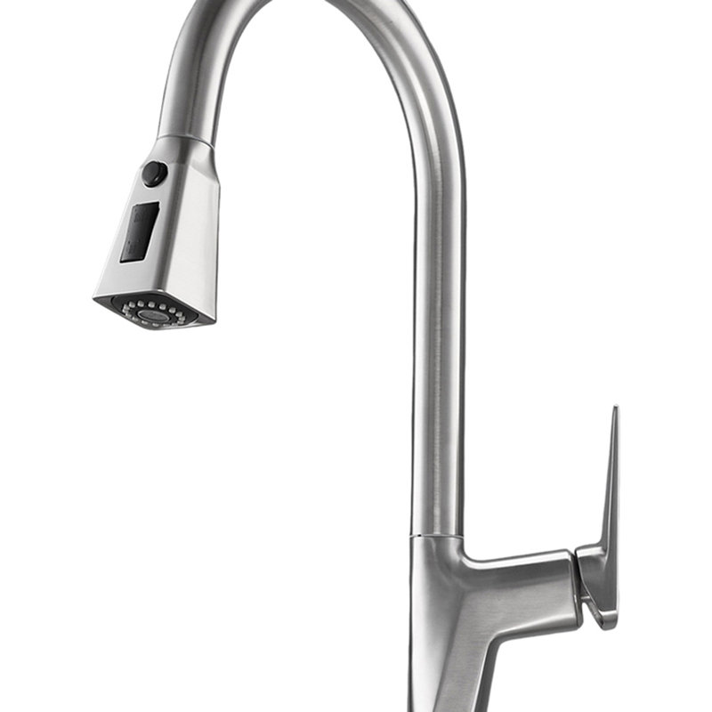 Brayden Studio Kitchen Faucet, Silver