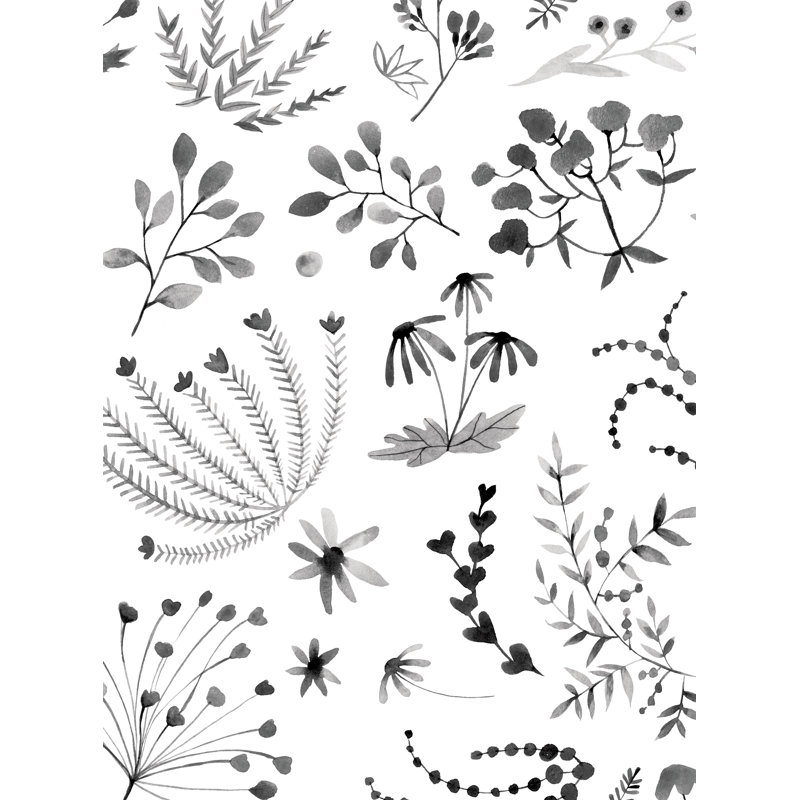 Rouleau de papier peint adhésif floral Kritika, L 2 pi x H 18 pi, Noir / blanc