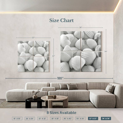 Aletra White Shells