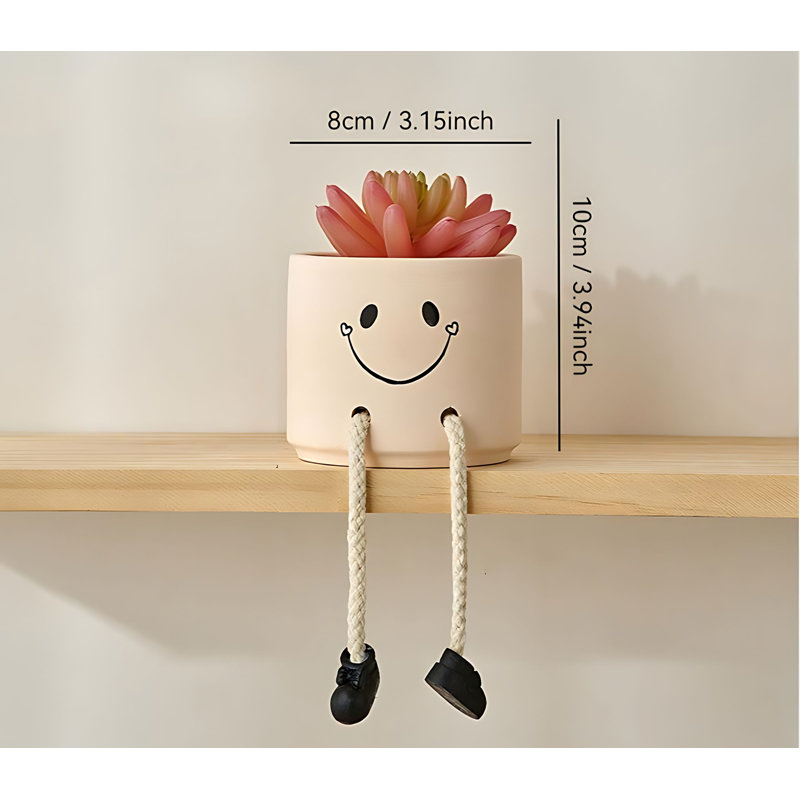 Plante grasse 3,93 po
