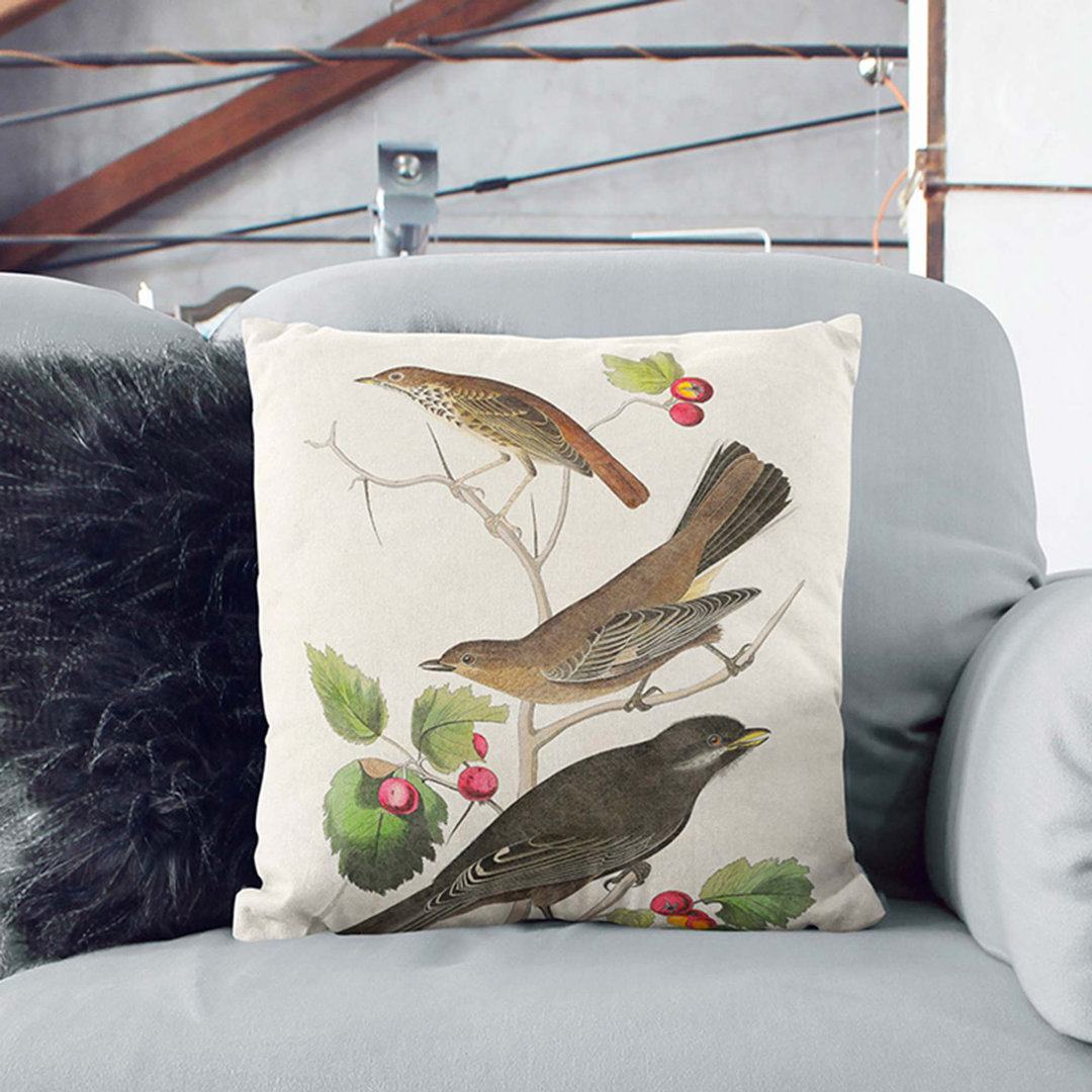 Selection of Birds by John James Audubon Cushion with Filling