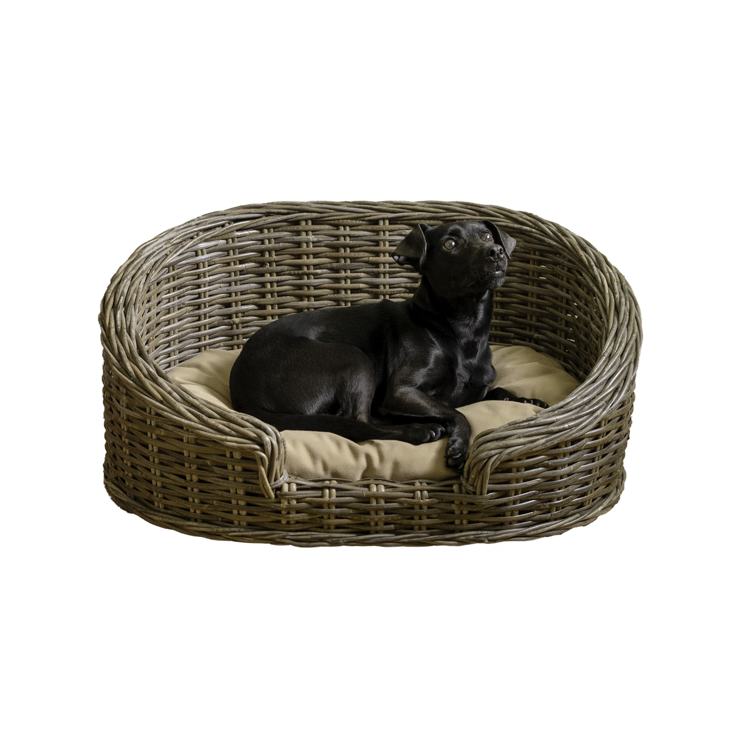 Tucker Murphy Pet™ Curvy Classic Handwoven Rattan Dog Bed with Machine ...