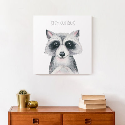 Art sur toile, raton laveur stay Curious