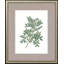 White Flowers S/4 Set by Giclee Studio