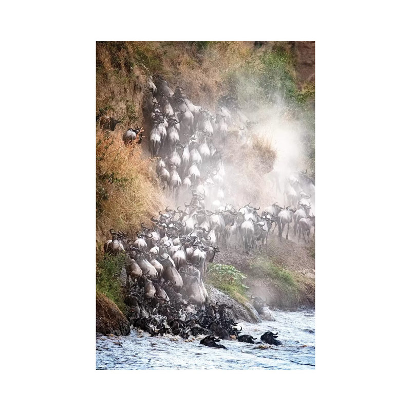 Wildebeest Climbing Up Mara River Bank by Susan Richey - Gallery-Wrapped Canvas Giclée on Canvas, Canvas