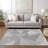 Geometric Indoor / Outdoor Rug-855124315