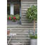 Berenice Handmade Window Box Planter-14486381