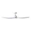 Antiope Ceiling Fan with Light Kit