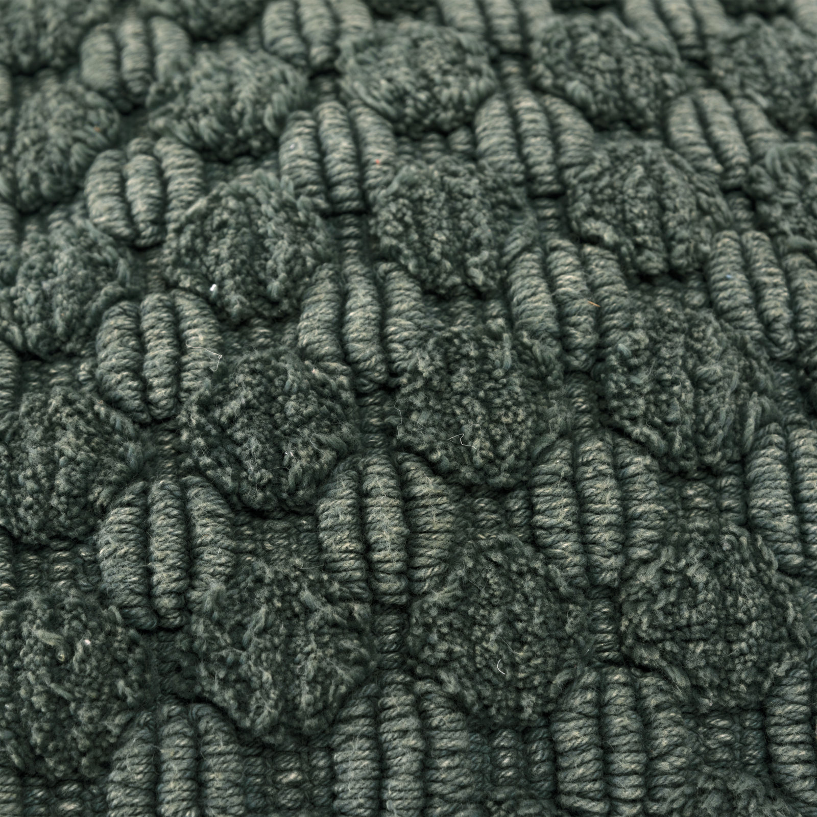 Roya 20" x 20" Cotton Throw Pillow, Green