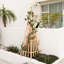 172.7cm H Wood Obelisk Trellis-1269764959-1269765025