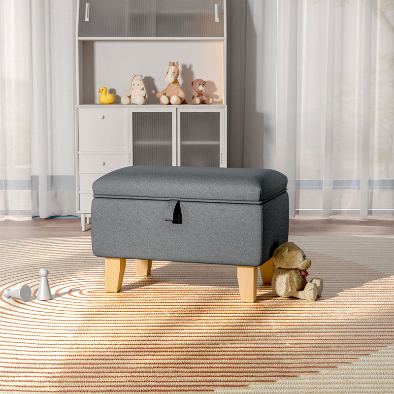 Artus 49cm Wide Rectangle No Pattern Ottoman with Storage, Dark Grey