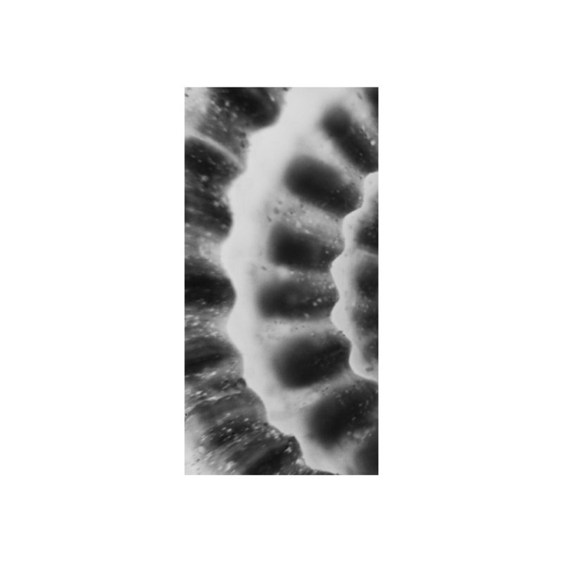 Architectonical Spiral I Print by Harold Davis, 40" H x 20" W, Glass Coat