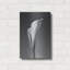 «Calla No. 4» par PhotoINC Studio-1996473088