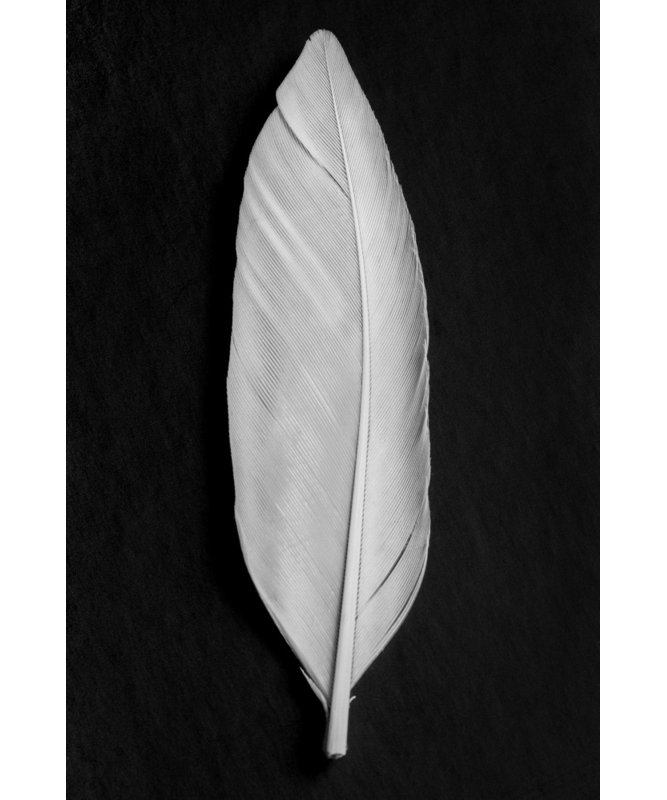 Wrapped Canvas Print, 91.44 cm H x 60.96 cm W