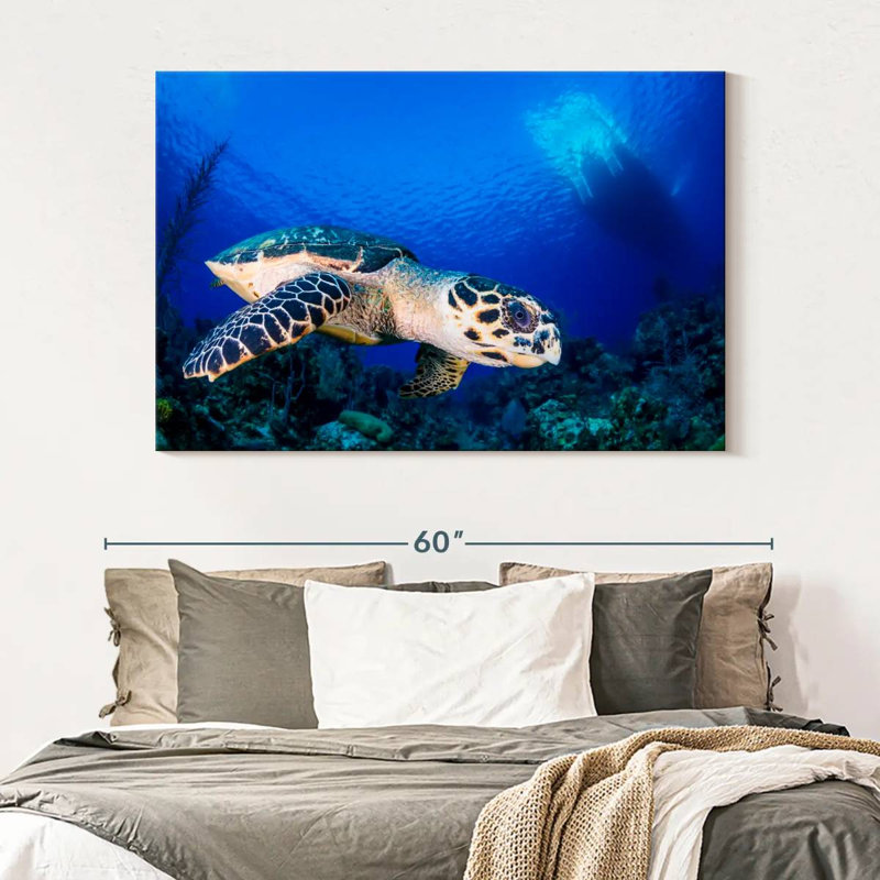 Brampt Underwater Hawksbill Turtle, 34" H x 51" W
