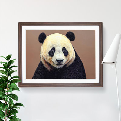 Fascinating Panda - Single Picture Frame Print