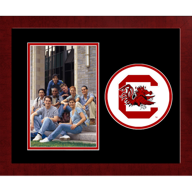 Cadre de gamecocks de combat south caroline NCAA