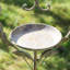 Alesana Metal Freestanding Tray Bird Feeder