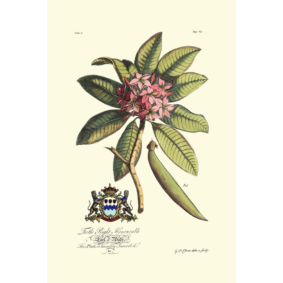 Royal Botanical V - Wrapped Canvas Art Prints