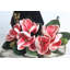 Arrangement floral artificiel Magnolia-860906913