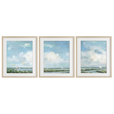 Ensemble de 3 impressions encadrées sous verre Daisies le long de Calm Coastline, design par Sally Swatland