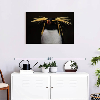 Pingouin