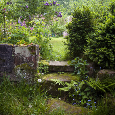 Natural Green Garden 1 Piece Wrapped Canvas Wall Art
