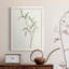Spindle Sprig III - peinture sur toile encadrée-763254580-763254584