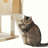 Chrisanne 69.3'' H Cat Tree-958242764